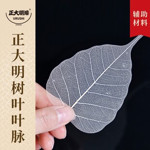 树叶叶脉大漆材料漆画材料玉兰叶脉菩提叶脉金刚小叶大漆镶嵌树叶