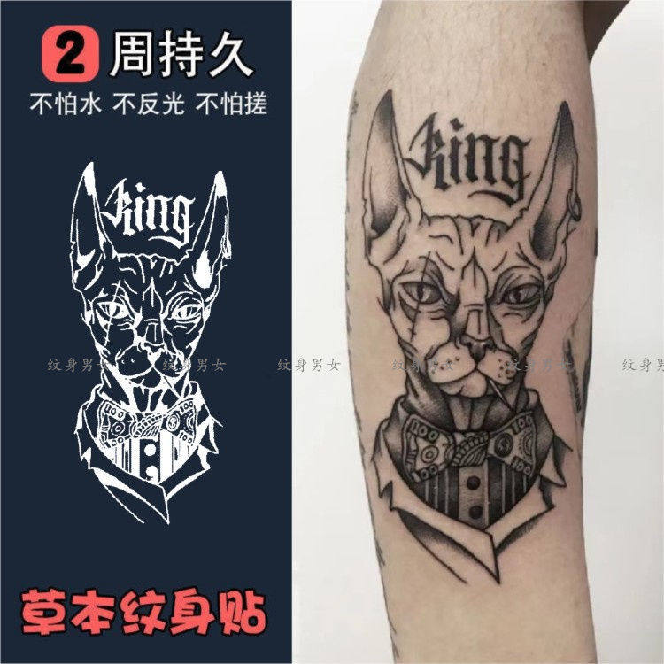 果汁花臂猫防水纹身贴 英文无毛猫贴纸
