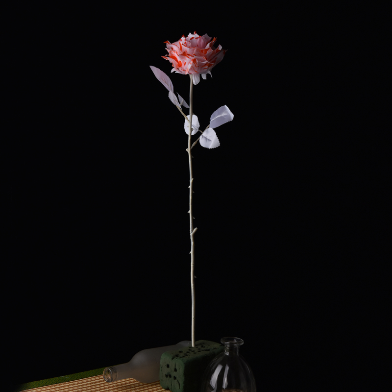仿真单支血白色玫瑰花干花束暗黑系风格写真拍照假花装饰道具背景-封面