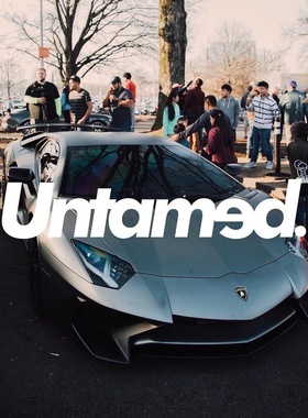 Untamed欧美街头防水潮流个性改装汽车贴纸 前挡后档贴纸拉花涂鸦