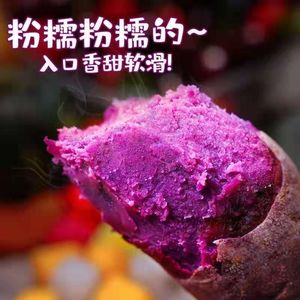 【挑枣儿官方旗舰店】山东潍坊紫罗兰紫薯5斤装