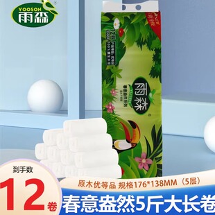 雨森春意盎然5斤12卷家用干湿两用原生木浆无芯卷纸5层加厚
