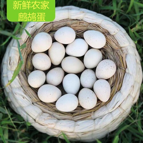 鹧鸪蛋90枚新鲜农家飞龙蛋营养辅食鸟蛋非鸽子蛋石鸡蛋土鸡蛋