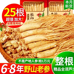 长白山人参高年人参25支干参新鲜老参干货东北生晒参人参礼盒