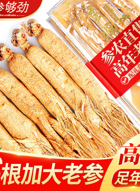 长白山人参精品参6支装长白山人参林下参生晒参泡酒煲汤参礼盒