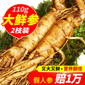 长白山鲜活人参加大2支鲜白参长白山新鲜人参泡酒煲汤佳选