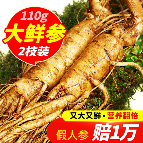 长白山人参鲜活2支林下泡酒煲汤