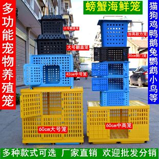 小鸽子笼可多层叠加侧门立体鸟笼宠物用品小免子仓鼠巢穴小鸡鸟窝