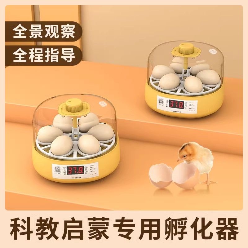 孵蛋器芦丁鸡小鸡孵化器小型家用儿童孵化机迷你智能全自动孵化箱