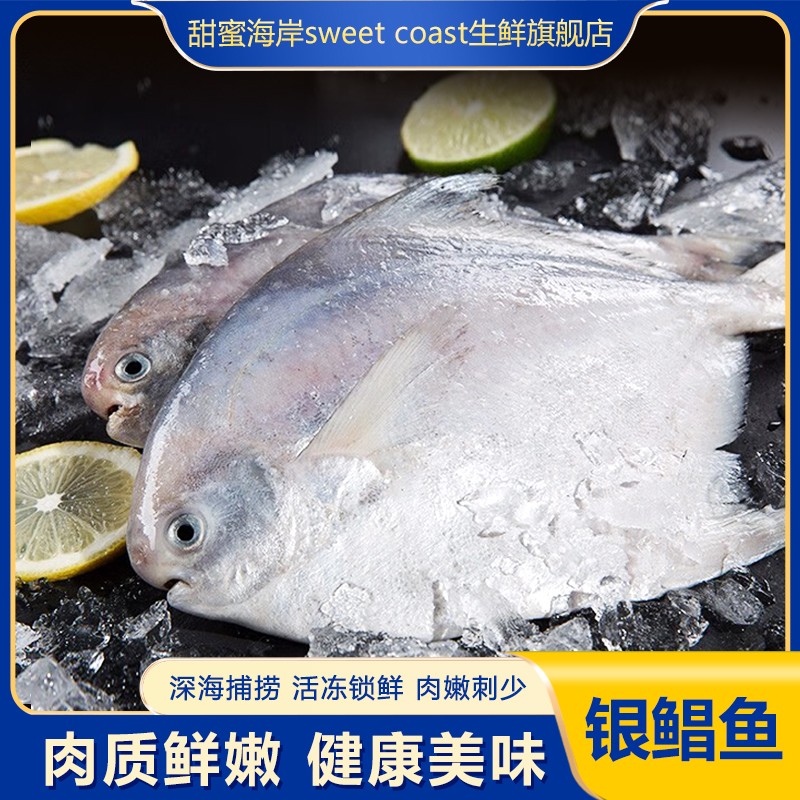 甜蜜海岸sweet coast野生新鲜速冻银鲳鱼红烧清蒸一斤5条左右*4斤