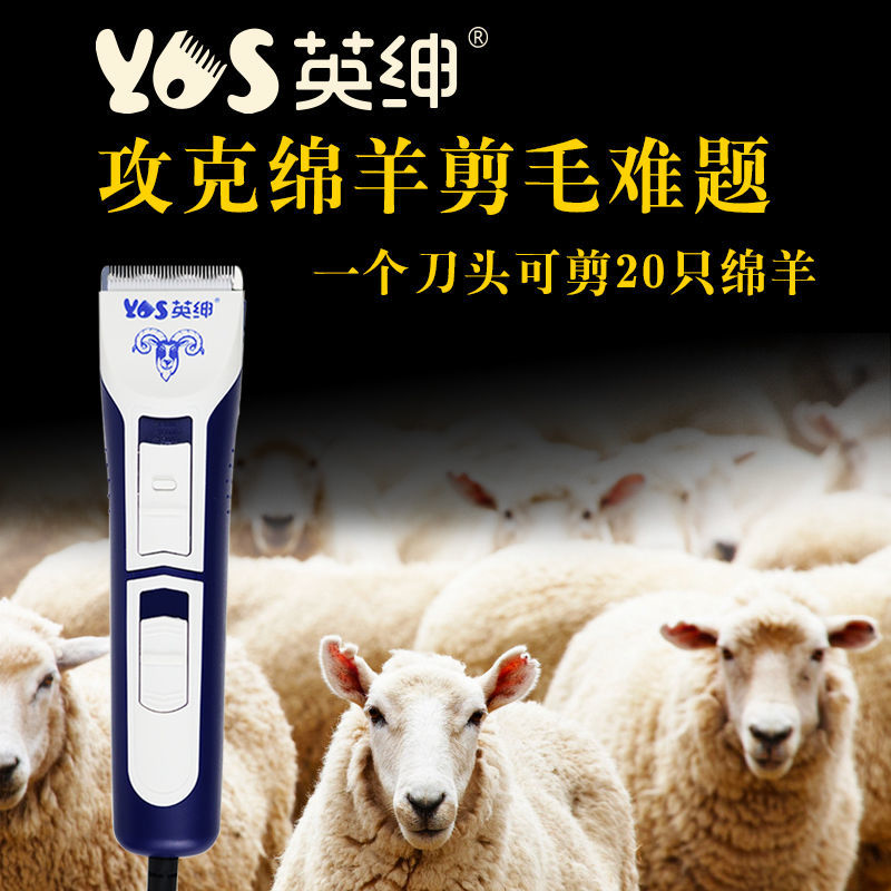 专业羊电推剪大功率小型插电剪羊毛推子电动剃兔毛猫狗剪毛新款