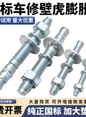 国标车修膨胀螺丝壁虎高强度强力拉爆电梯专用螺栓M6-M24加大垫片