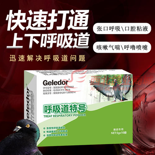 格莱德鸽药呼吸道特效信鸽清理