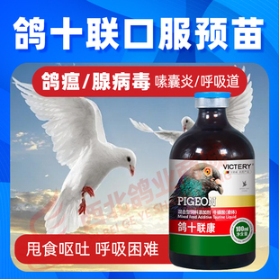 汉诺威十连鸽康赛信鸽子专用口服苗预防新城疫腺病毒六联非鸽子药