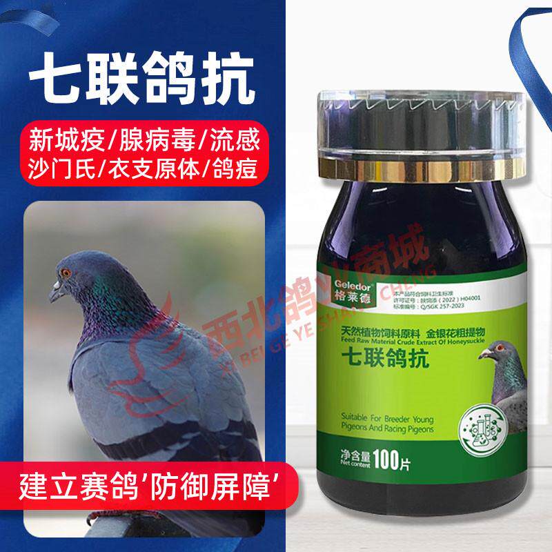 格莱德七联鸽抗专用口服疫苗赛信鸽预新城疫沙门氏呼吸道非鸽子药
