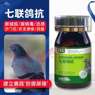 格莱德七联鸽抗专用口服疫苗赛信鸽预新城疫沙门氏呼吸道非鸽子药