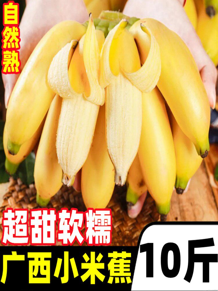 202广西小米蕉10斤新鲜香蕉自然熟超甜小香芭蕉苹果蕉当季水果怎么看?