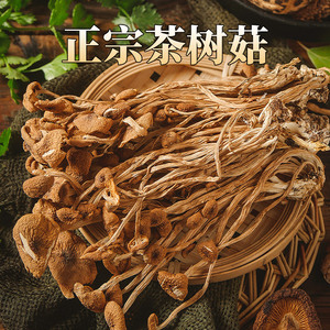 茶树菇农家新货开伞干货茶树菇茶新菌菇优质无硫煲汤食材