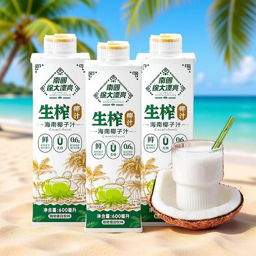 南国生榨椰汁/纯椰子水/海南特产