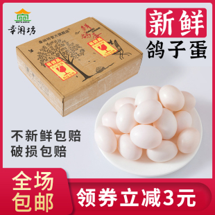 费 幸闲坊鸽子蛋新鲜30枚农家散养土鸽蛋信鸽蛋礼盒正宗鸽蛋顺丰 免邮