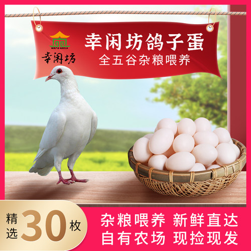 新鲜30枚特级纯粮鸽子蛋可孵化