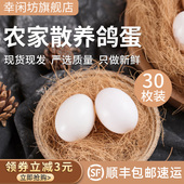 新鲜鸽子蛋30枚农家杂粮孕妈宝宝辅食礼盒生鲜鸽蛋破损包赔顺丰