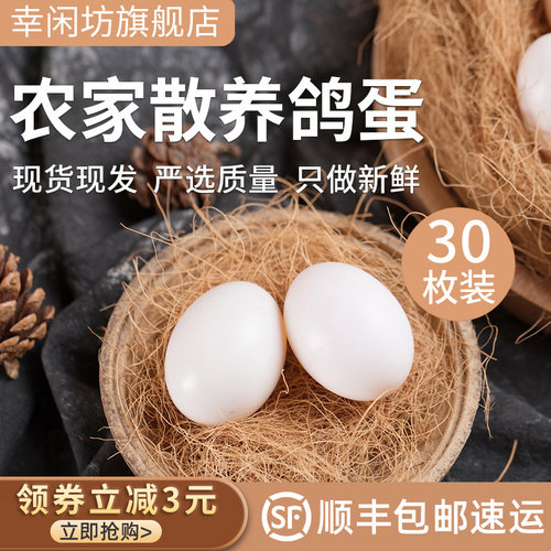 新鲜鸽子蛋30枚农家礼盒破损包赔