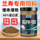 兰寿专用饲料金鱼高蛋白增体增艳鱼粮鱼苗催苗小颗粒型上浮型饲料