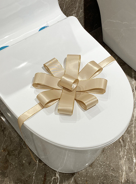 马桶拉花捆绑丝带封条样板房间