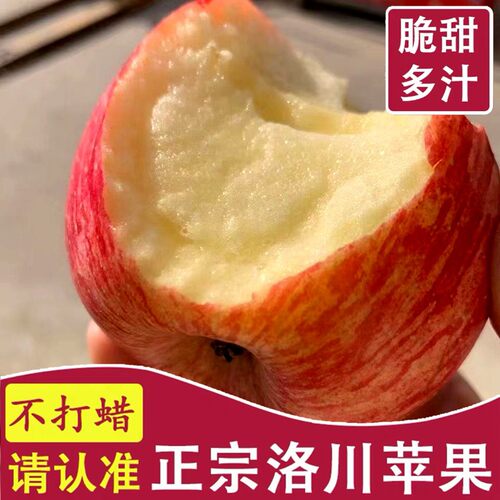 【5A商品】正宗洛川苹果优惠10元