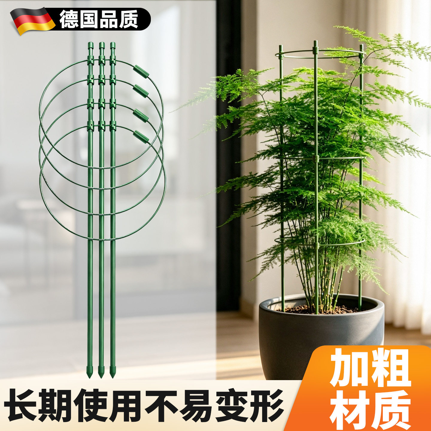 文竹支撑架植物爬藤花架图片
