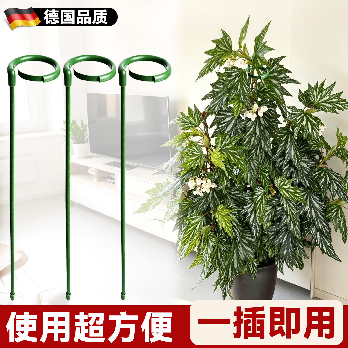 秋海棠支撑杆花卉支撑架花架图片