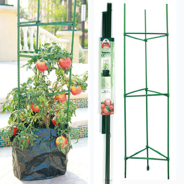 西红柿番茄黄瓜爬藤支架包塑圆柱钢管支撑植物固定园艺阳台种植架