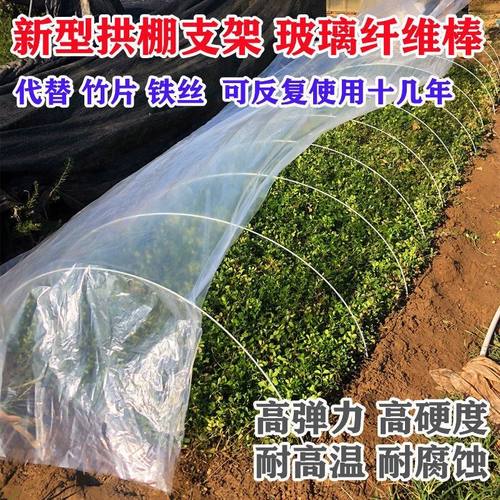 实心拱棚天永滋小拱棚农用蔬菜