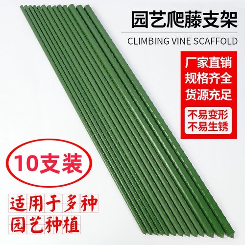 楼顶花园爬藤架庭院植物豆角黄瓜爬藤杆牵引固定包塑钢管园艺支架 - 封面