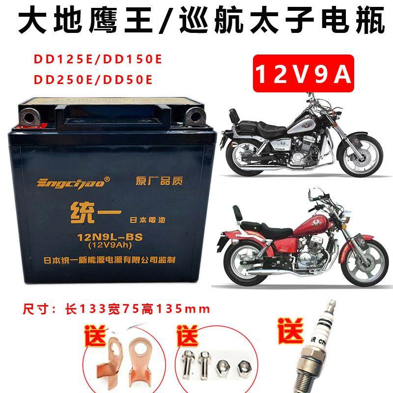 适机车干电瓶大地鹰王DD125EDD150EDD250DD350E巡航太子蓄电池