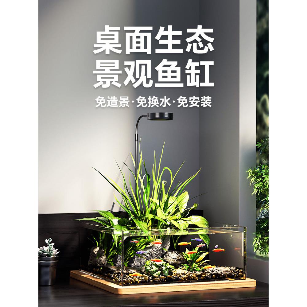 小鱼缸客厅小型2025新款生态微景观玻璃溪流缸造景全套超白桌面缸