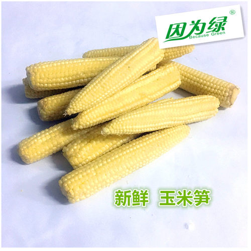 新鲜蔬菜玉米笋玉米芯江浙沪皖