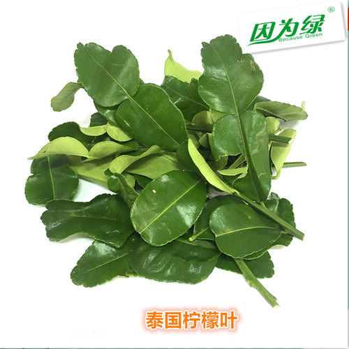 新鲜泰国柠檬叶 Kaffir Lime Leaf 新鲜 青柠叶 250g 冬阴功香料