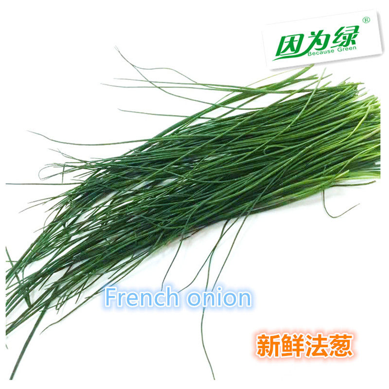 新鲜香料 法葱 细香葱 100g/袋 江浙沪皖5件包邮