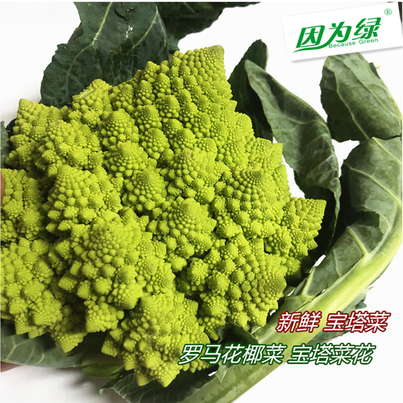 新鲜蔬菜宝塔菜罗马花椰菜宝塔菜花 650g江浙沪皖5件包邮-封面