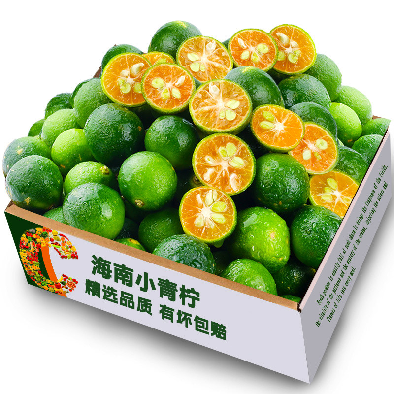 海南特产青金桔柠檬小青柠新鲜水果火锅蘸料调百香果青桔现摘清香