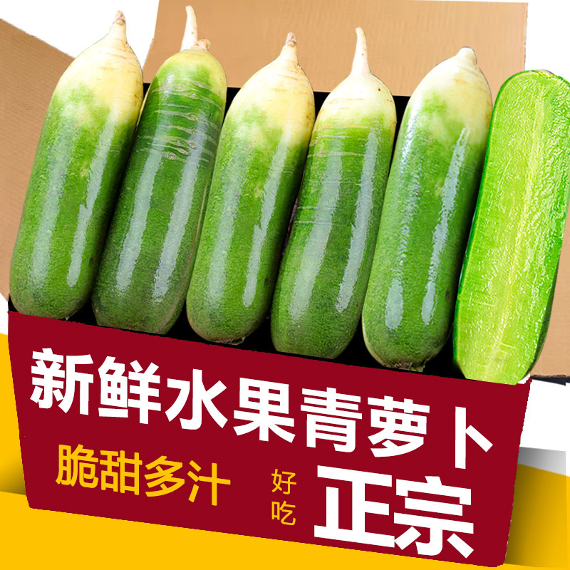 山东水果萝卜青萝卜绿皮长条特级脆甜爽口生吃新鲜脆甜包邮