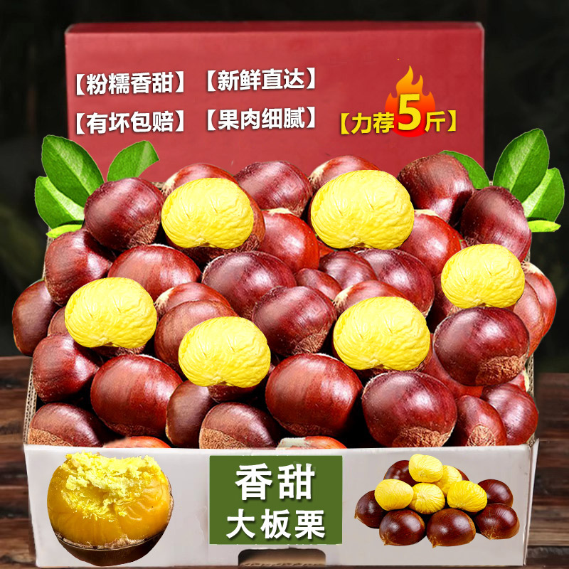 丹东板栗生新鲜5斤生鲜农家特产毛栗子大个新板栗板栗中大果新鲜
