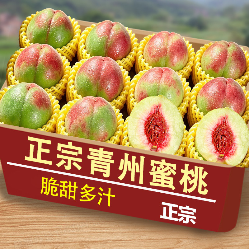 【脆甜】青皮脆蜜桃脆甜清香桃子新鲜脆桃香甜多汁当季非青州蜜桃