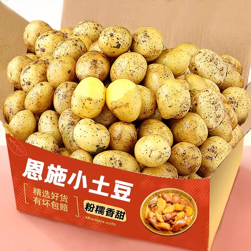恩施小土豆现挖湖北新鲜黄心土豆当季蔬菜整箱迷你马铃薯洋芋包邮