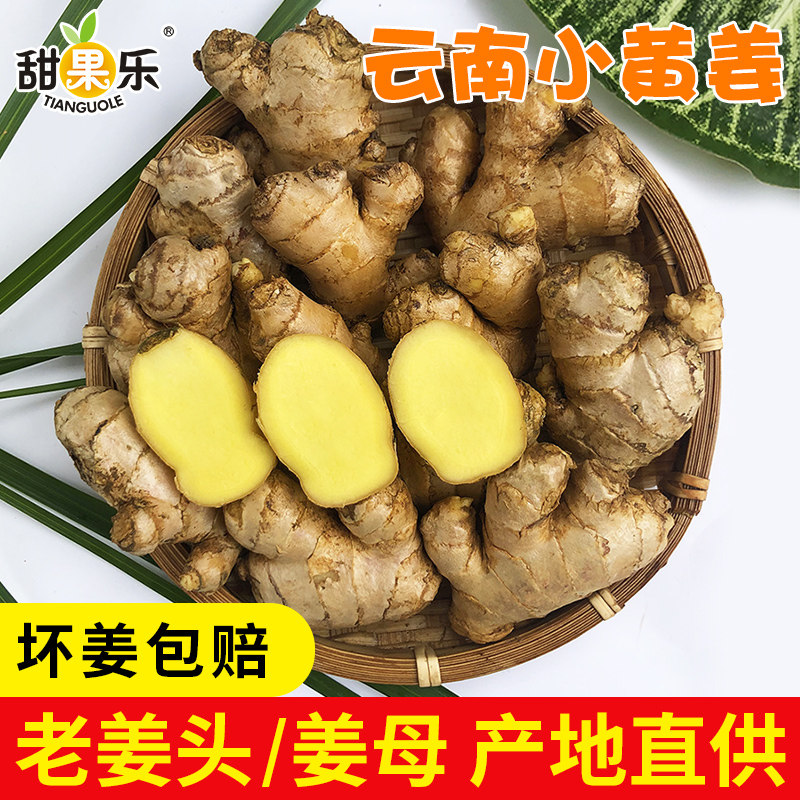 云南农家小黄姜老姜头姜种辛辣生姜老姜母月子姜黄姜老姜包邮批发