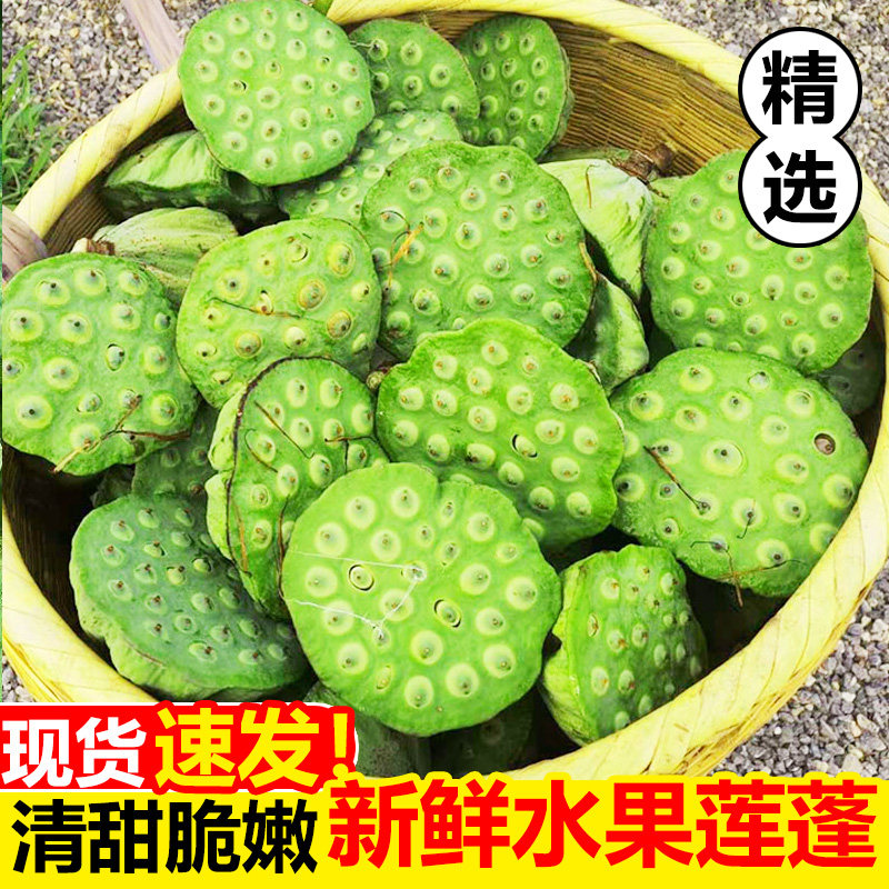 莲蓬新鲜现摘产地直发特产生吃当季水果蔬菜整箱湘莲超甜嫩莲子米