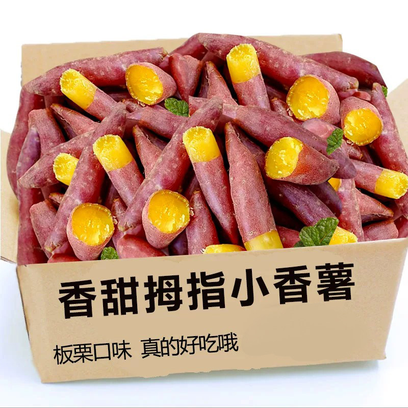 临安天目山小香薯正宗农家自种小番薯地瓜蜜薯旗舰店新鲜板栗红薯