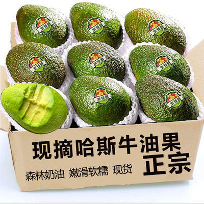 精选哈斯牛油果4枚，口感绵密！